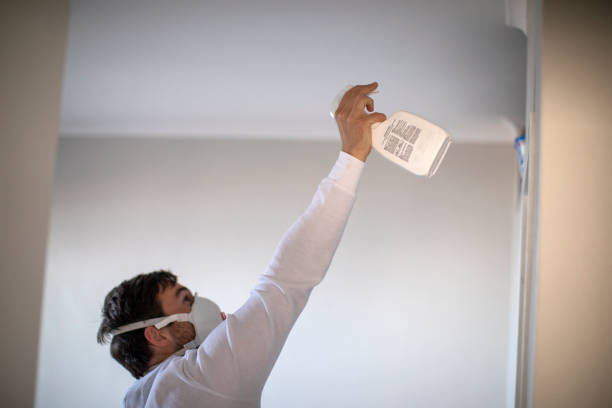 Mold Testing and Removal in Burien, WA