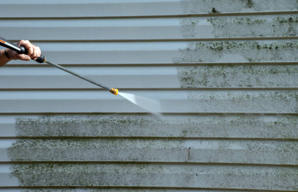 Best Mold Damage Repair  in Burien, WA