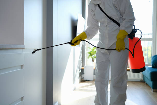 Best Professional Mold Removal  in Burien, WA